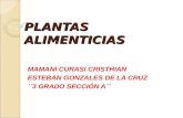 PLANTAS ALIMENTICIAS MAMANI CURASI CRISTHIAN ESTEBAN GONZALES DE LA CRUZ ``3 GRADO SECCIÓN A``