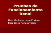 Pruebas de Funcionamiento Renal Ortiz Gallegos Jorge Enrique Paez Lince Rene Arnoldo.