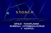 S.T.O.R.C.H SIFILIS TOXOPLASMA RUBEOLA CITOMEGALOVIRUS Y HERPES.