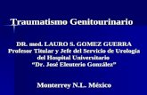 Traumatismo Genitourinario DR. med. LAURO S. GOMEZ GUERRA Profesor Titular y Jefe del Servicio de Urología del Hospital Universitario Dr. José Eleuterio.