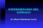 ENFERMEDADES DEL ESÓFAGO Dr. Alberto Niderhauser García.