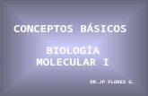 CONCEPTOS BÁSICOS BIOLOGÍA MOLECULAR I DR.JP FLORES G.
