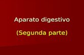 Aparato digestivo (Segunda parte). Faringe y Paladar Blando.