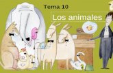 Tema 10 Los animales. Clasificación de los animales. ANIMALES INVERTEBRADOS VERTEBRADOS No tienen esqueleto interno. Tienen esqueleto interno. Esponjas.