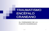 FDLF 1 TRAUMATISMO ENCÉFALO CRANEANO Dr. FERNANDO DE LA FUENTE RODRÍGUEZ.