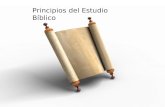 Principios del Estudio Bíblico. 15 Procura con diligencia presentarte a Dios aprobado, como obrero que no tiene de qué avergonzarse, que maneja.