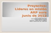 Proyectos: Lideres en misión ARP sura Junio de 2012 JULIO ALBERTO POLO NELSON DE JESUS SANCHEZ OMAR FERNEY MARIN SODEXO – PROCTER & GAMBLE ÁREA: SERVICIOS.