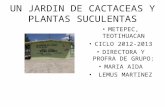 UN JARDIN DE CACTACEAS Y PLANTAS SUCULENTAS METEPEC, TEOTIHUACAN CICLO 2012-2013 DIRECTORA Y PROFRA DE GRUPO: MARIA AIDA LEMUS MARTINEZ.