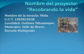 Nombre de la escuela: Mitla C.C.T. 15EPR1663K Localidad: Godinez Tehuastepec. Municipio: Valle de Bravo. Escuela Multigrado.