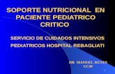 1 SOPORTE NUTRICIONAL EN PACIENTE PEDIATRICO CRITICO SERVICIO DE CUIDADOS INTENSIVOS PEDIATRICOS HOSPITAL REBAGLIATI DR MANUEL REYES UCIP.