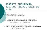 GGAVATT CUERAMARO BOVINOS PRODUCTORES DE LECHE EVALUACION ANUAL C. LIBORIA GRANADOS CABRERA PRESIDENTE DEL GGAVATT M.V.Z JOSE MANUEL CORTES CARLOS ASESOR.