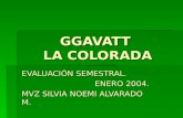 GGAVATT LA COLORADA EVALUACIÓN SEMESTRAL. ENERO 2004. MVZ SILVIA NOEMI ALVARADO M.