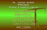 EL DERECHO AMBIENTAL DEFINICIÓN ANTECEDENTES CONSTITUCIÓN NACIONAL Dr. Carlos Aníbal Rodríguez Platon @ espacio.com.ar.