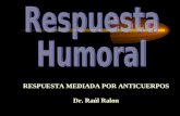 RESPUESTA MEDIADA POR ANTICUERPOS Dr. Raúl Ralo Dr. Raúl Ralon.
