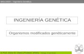 BIOLOGÍA – Ingeniería Genética © Prof. Víctor M. Vitoria (Profesor JANO) – Biología 2º bachillerato INGENIERÍA GENÉTICA Organismos modificados genéticamente.