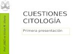 Prof. JANO es Víctor M. Vitoria CUESTIONES CITOLOGÍA Primera presentación.