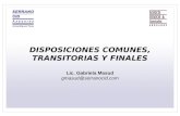 DISPOSICIONES COMUNES, TRANSITORIAS Y FINALES Lic. Gabriela Masud gmasud@serranocid.com.