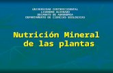 Nutrición Mineral de las plantas UNIVERSIDAD CENTROCCIDENTAL LISANDRO ALVARADO DECANATO DE AGRONOMIA DEPARTAMENTO DE CIENCIAS BIOLOGICAS.