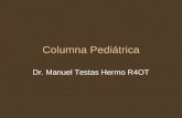 Columna Pediátrica Dr. Manuel Testas Hermo R4OT. Morfogénesis Mesenquima (Mesodermo, Tubo neuronal, somites) Cartílago (cuerpo, transversas (2), laminas.