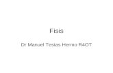 Fisis Dr Manuel Testas Hermo R4OT. Irrigación Vaso epifisiario Vasos metafisiarios Arteria nutricia Arteria pericondral.