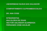 UNIVERSIDAD NUEVA SAN SALVADOR COMPARTIMIENTO SUPRAMESOCOLICO DR. ANA COSS INTEGRANTES ANA GLORIA DE RIVAS HECTOR SALVADOR ALVARENGA FERNANDO JOSE AGUILAR.