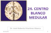 Dr. José Roberto Martínez Abarca 30/01/20141. OBJETIVOS Delimite al centro blanco medular. Sitúe a los núcleos caudado, lenticular y claustro. Sitúe al.