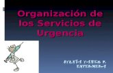 Organización de los Servicios de Urgencia. ORGANIZACION DE LOS SERVICIOS DE URGENCIA Definición de la U.A.E. (MINSAL): ATENCION MEDICA DE EMERGENCIA 0.