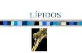 LÍPIDOS. Los lípidos son biomoléculas orgánicas formadas básicamente por carbono e hidrógeno y oxígeno; Además pueden contener también fósforo, nitrógeno,