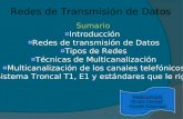Redes de Transmisión de Datos Sumario Introducción Redes de transmisión de Datos Tipos de Redes Técnicas de Multicanalización Multicanalización de los.
