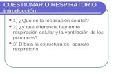 CUESTIONARIO RESPIRATORIO introducción 1) ¿Que es la respiración celular? 2) ¿y que diferencia hay entre respiración celular y la ventilación de los pulmones?