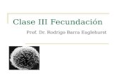 Clase III Fecundación Prof. Dr. Rodrigo Barra Eaglehurst.