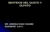 SENTIDOS DEL GUSTO Y OLFATO DR. HAROLD DIAZ CHADID DR. HAROLD DIAZ CHADID DOCENTE U.P.V. DOCENTE U.P.V.
