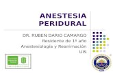 ANESTESIA PERIDURAL DR. RUBEN DARIO CAMARGO Residente de 1º año Anestesiología y Reanimación UIS.