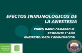 EFECTOS INMUNOLOGICOS DE LA ANESTESIA RUBEN DARIO CAMARGO M. RESIDENTE 1º AÑO ANESTESIOLOGIA Y REANIMACION.