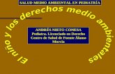 ANDRÉS NIETO CONESA Pediatra. Licenciado en Derecho Centro de Salud de Fuente Álamo Murcia SALUD MEDIO AMBIENTAL EN PEDIATRÍA.