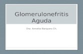 Glomerulonefritis Aguda Dra. Annette Barquero Ch..