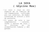 LA SOYA ( Glycine Max) La soja o soya es una especie de la familia de las leguminosas cultivada por sus semillas, de medio contenido en aceite y alto de.