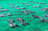 Variaciones Numéricas y Estructurales del Cariotipo.