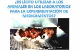 La experimentación con animales es uno de los temas más polémicos y que levantan algunas de las discusiones más acaloradas y apasionadas, ya que las implicaciones.