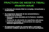 FRACTURA DE MESETA TIBIAL: situación actual. La fractura de meseta tibial es compleja, intraarticular y multivariable. Su tratamiento depende de las características.