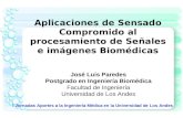 Aplicaciones de Sensado Compromido al procesamiento de Señales e imágenes Biomédicas José Luis Paredes Postgrado en Ingeniería Biomédica Facultad de Ingeniería.