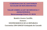 GOBERNACION DE SANTANDER ALCALDIA DE BUCARAMANGA TALLER SOBRE LA LEY DE INFANCIA Y ADOLESCENICA Bucaramanga Enero 21 2010 Beatriz Linares Cantillo Asesora.