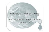 Modelos para estudiar Por: Rayza Lee Ocasio Cordero Pag: 191-203.