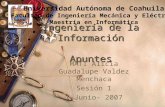 Ingeniería de la Información Apuntes MATI Alicia Guadalupe Valdez Menchaca Sesión 1 1-Junio- 2007 Universidad Autónoma de Coahuila Facultad de Ingeniería.