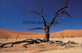 Climas del mundo Profesor Ariel Cuevas. Climas del mundo Existe una gran variedad de climas en el planeta. Se diferencian por los promedios anuales de.