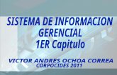 Introducción Generalidades Sistemas de Información Sistemas Estratégicos Conclusiones.