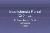 Insuficiencia Renal Crónica Dr Jorge Brenes Dittel Nefrología.HSJD.