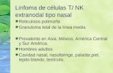 Linfoma de células T/ NK extranodal tipo nasal Reticulosis polimorfa Granuloma letal de la línea media Prevalente en Asia, México, América Central y Sur.