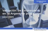 Transaction Advisory Services Valuación de Empresas en la Argentina post-canje Junio 2005.