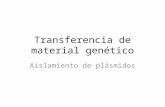 Transferencia de material genético Aislamiento de plásmidos.